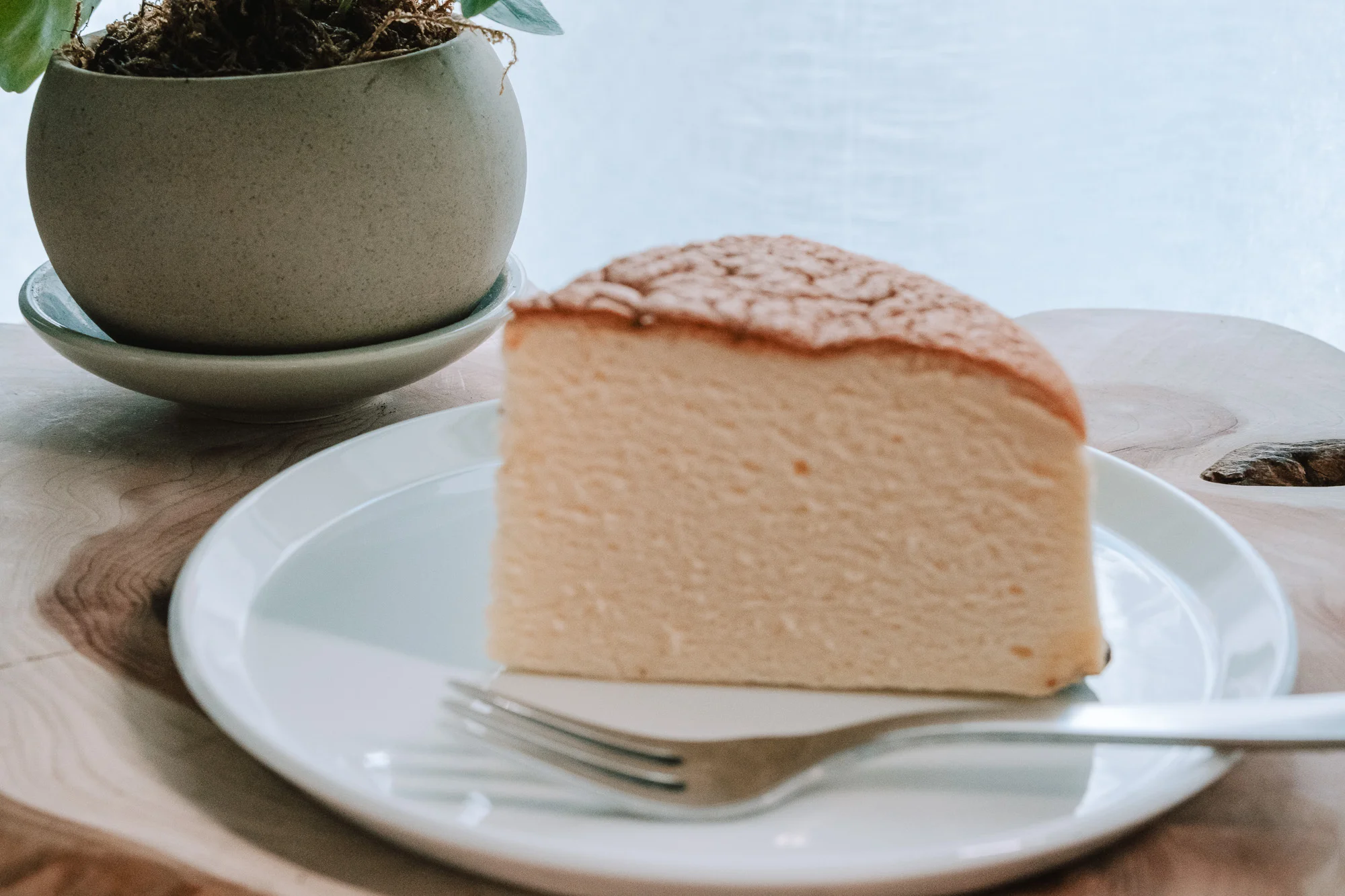 1616/arita TY Round Plate にチーズケーキ、別アングル