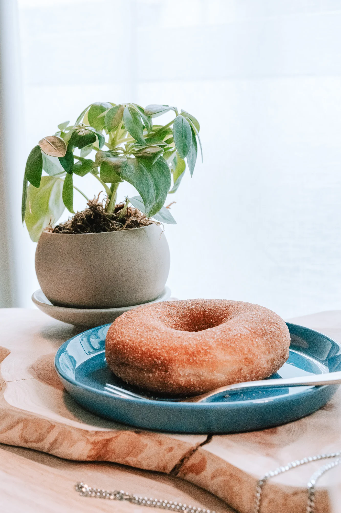 MOHEIM STONEWARE PLATE 150 とドーナツの縦構図