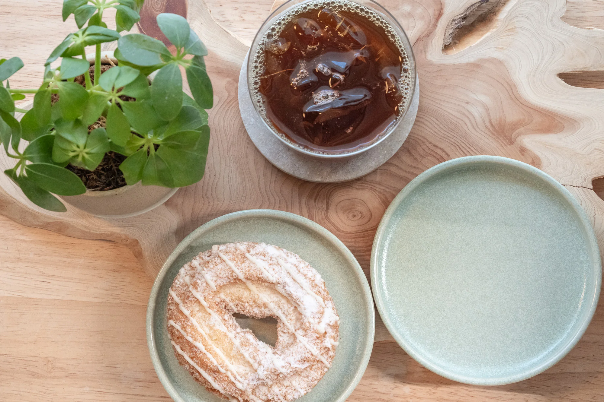 COSTA NOVA Redonda グリーンにクルーラーとアイスコーヒー