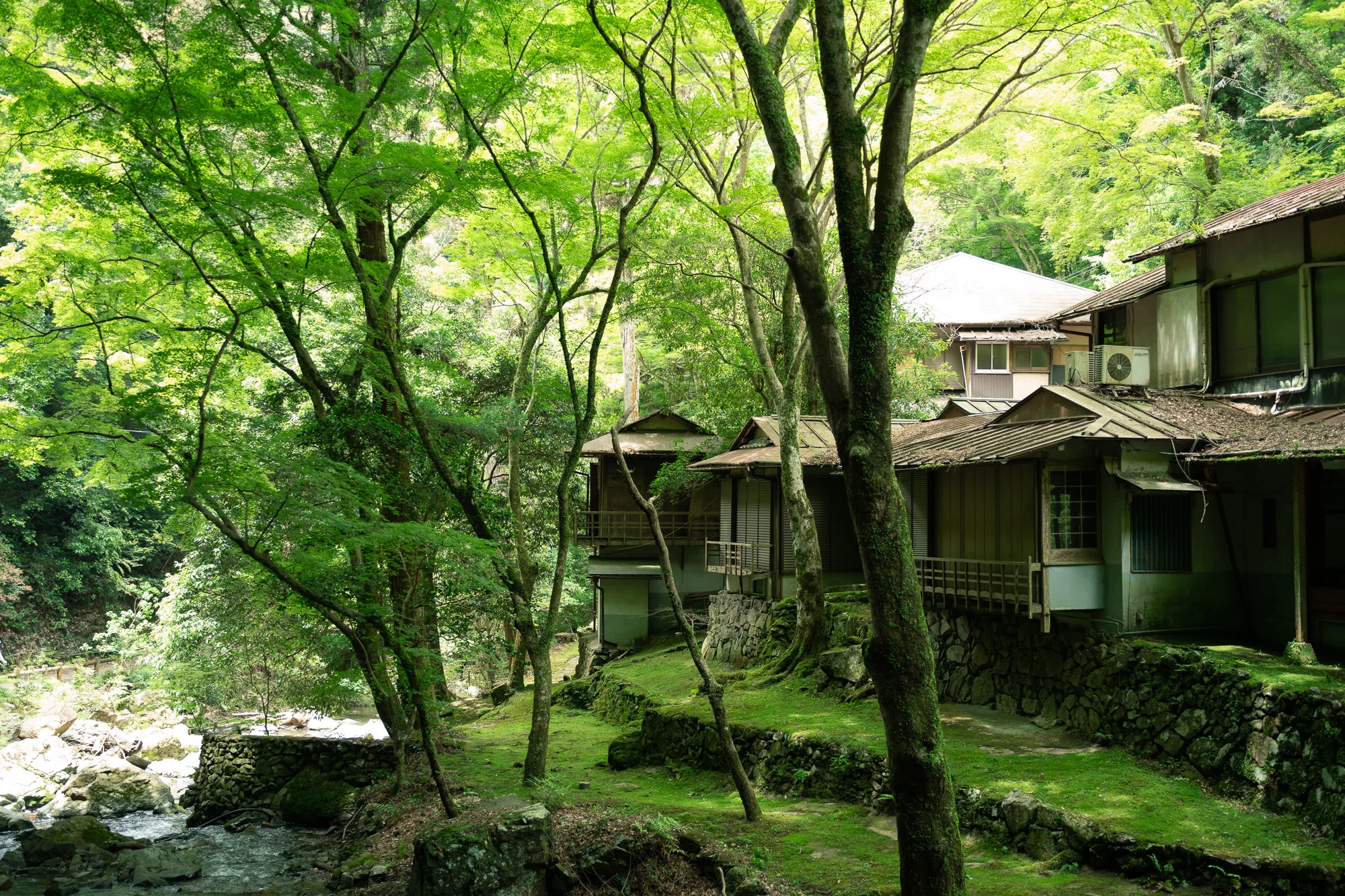 帰りの山道で見えた古民家と新緑