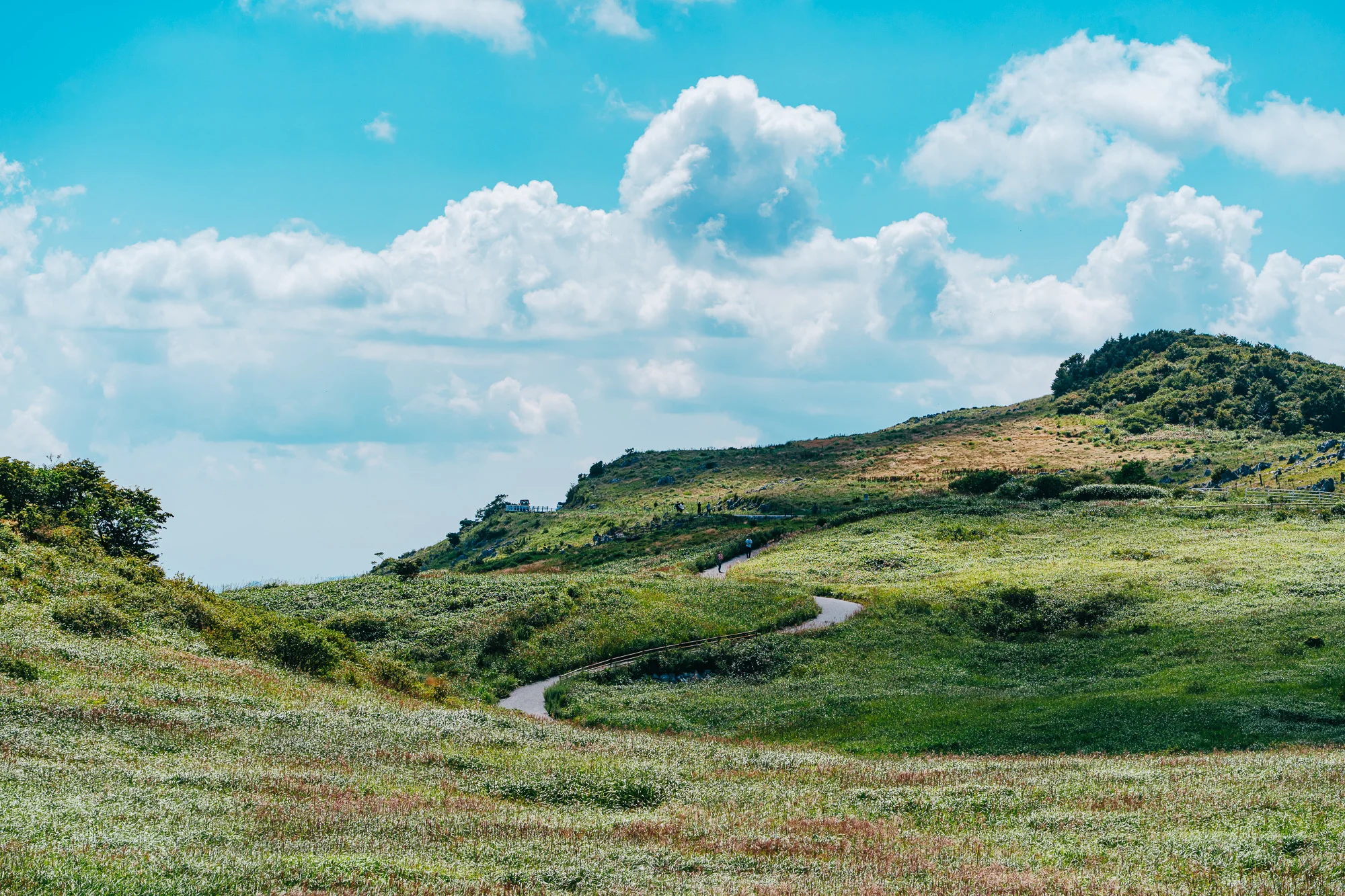 四国 photo log vol.1